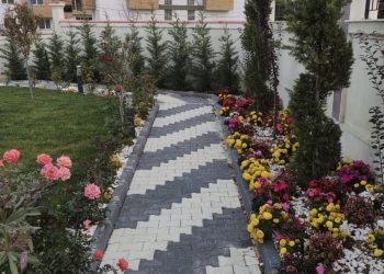 dış cephe taş kaplama, dekoratif duvar taşı, doğal taş kaplama, traverten cephe, granit cephe kaplama, villa dış cephe taşı, taş duvar uygulaması, Silivri taş kaplama, Çatalca duvar taşı, Tekirdağ dış cephe, Edirne taş duvar, İstanbul taş kaplama firması, taş kaplama ustası, dış mekan taş dekorasyonu, taş cephe modelleri, doğal taş ustası Silivri, kaliteli taş işçiliği